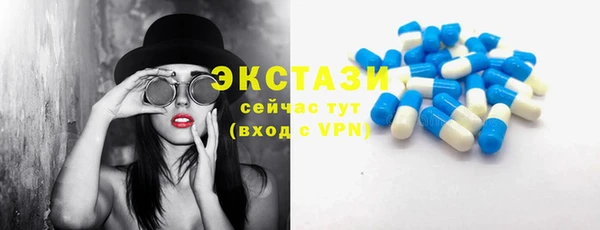СК Богородск