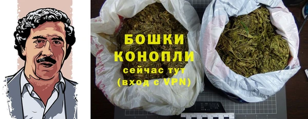СК Богородск