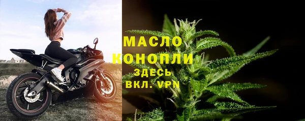 СК Богородск