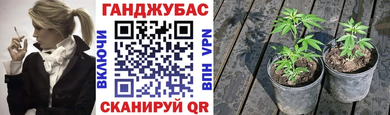 Бошки марихуана OG Kush  Нахабино 